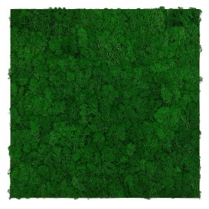 Jangal Wandpaneel Modular Wall Nature Green Moos, 52x52cm, für natürliche Wanddekoration.