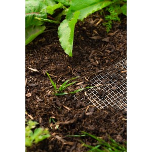 Pergart Draneo Drahtgeflecht im Hochbeet zum Schutz vor Wühlmäusen.