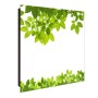 Schwarzer Banjado Schlüsselkasten mit Glasfront, Blätter-Motiv, 50 Haken, beschreibbar & magnetisch.