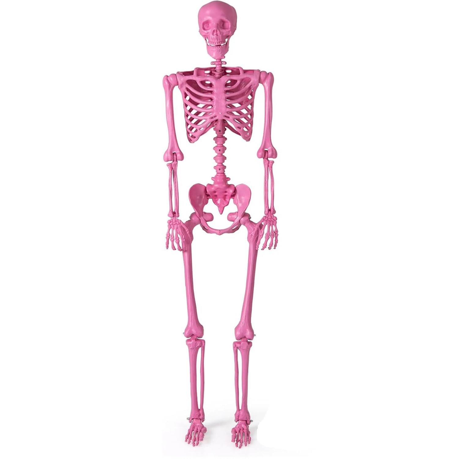 Costway Halloween Deko Skelett Rosa160 cm