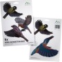 Gardigo Vogel Silhouetten Heimische Vögel, 5er Set, bunte Fensteraufkleber zur Vogelabwehr.