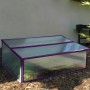 Frühbeet Levana in Feige, 37x95x55 cm, mit transparenten Hohlkammerplatten und lila Rahmen.