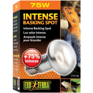 Exo Terra Intense Basking Spot 75W Wärmelampe für Reptilien zur Thermoregulierung.