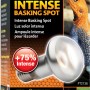 Exo Terra Intense Basking Spot 75W Wärmelampe für Reptilien zur Thermoregulierung.