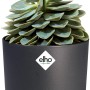 Anthrazitfarbener, runder Elho Blumentopf B.For Soft (Ø 34,5 cm) mit Sukkulente.
