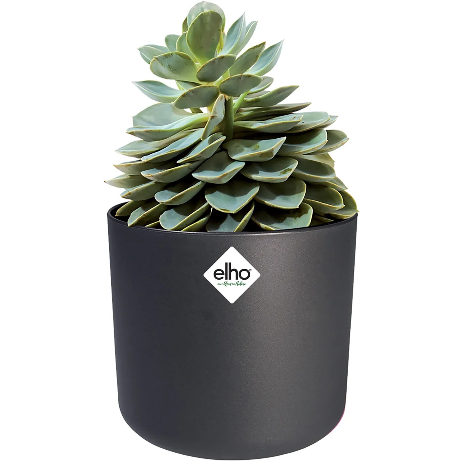 Anthrazitfarbener, runder Elho Blumentopf B.For Soft (Ø 34,5 cm) mit Sukkulente.