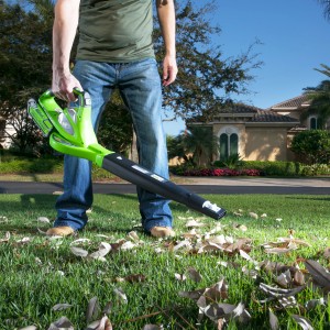 Greenworks Akku-Laubbläser GD40BV mit Saugfunktion im Einsatz auf Rasen mit Laub.