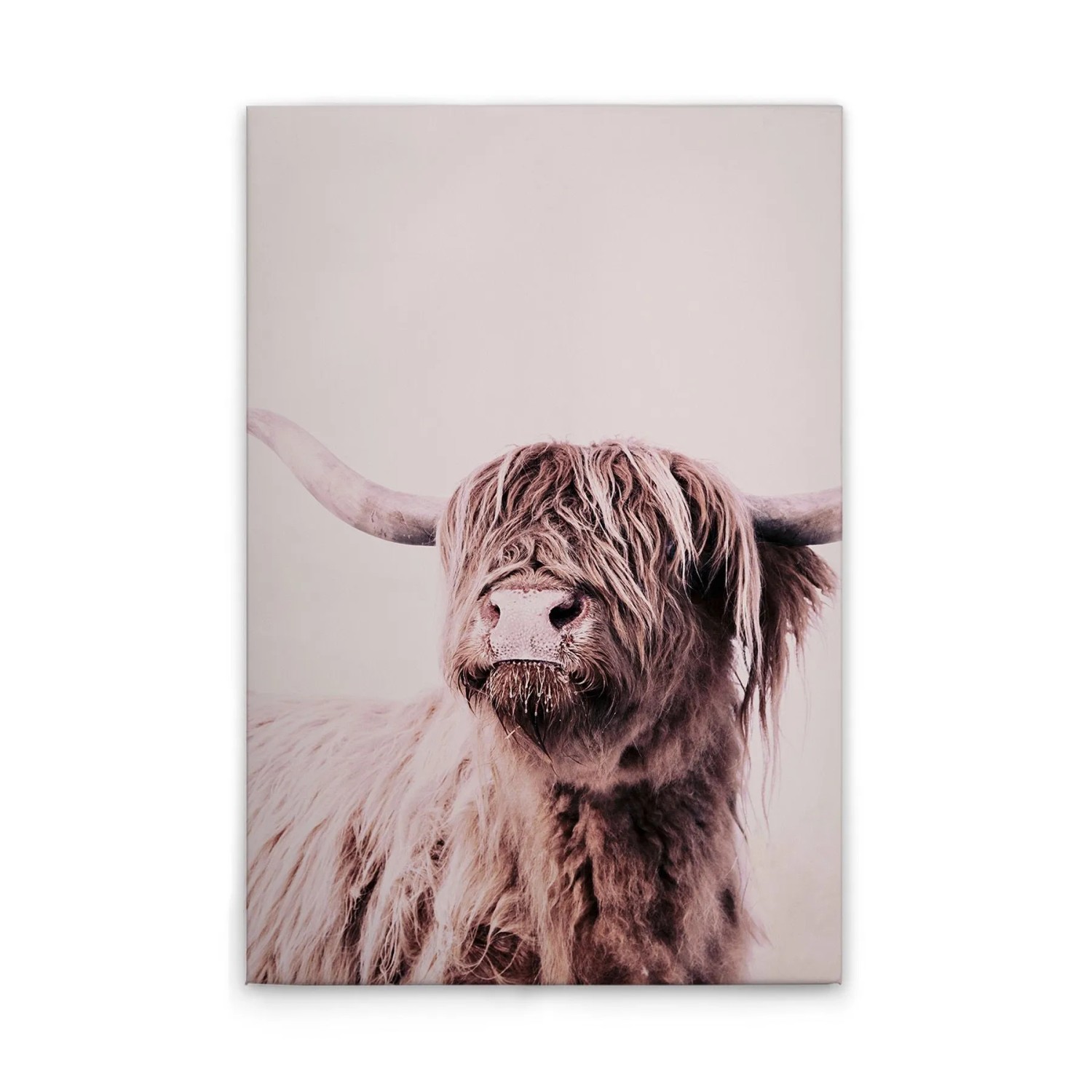 Tadessi Leinwandbild - M1-No.50762 - Kuh Beige - 30 x 45 cm - Querformat