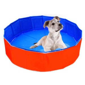 Hund im Outdoor-Pool (80x20cm), rot/blau. Faltbarer Pool für Hunde, kein Aufpumpen nötig.