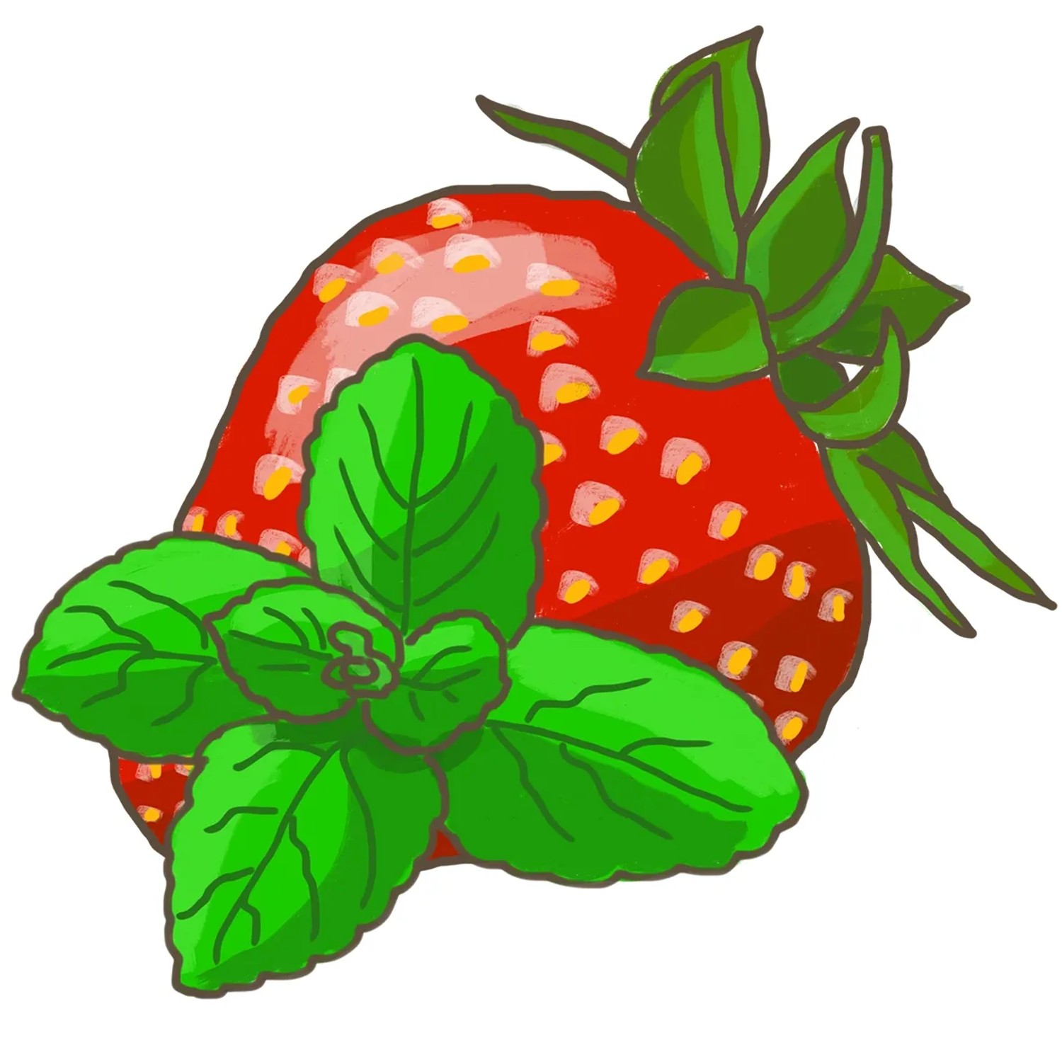 Illustration einer Erdbeere mit Erdbeerminze (Mentha). Küchenkräuter für Desserts.