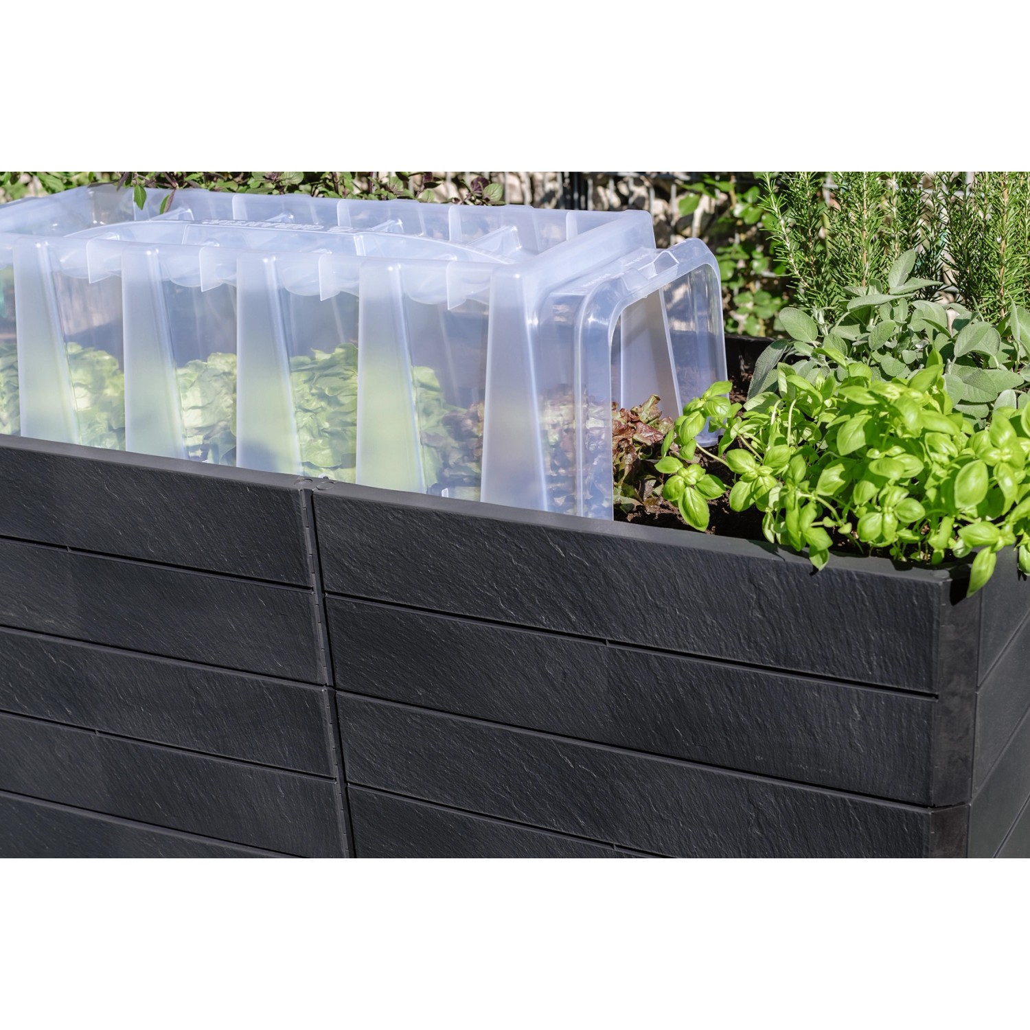 Garantia HochbeetSystem U L Ergo Quadro 75 cm x 240 cm x 160 Stone