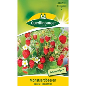 Samenpackung Quedlinburger Monatserdbeere 'Rügen' mit roten, aromatischen Erdbeeren und weißen Blüten.
