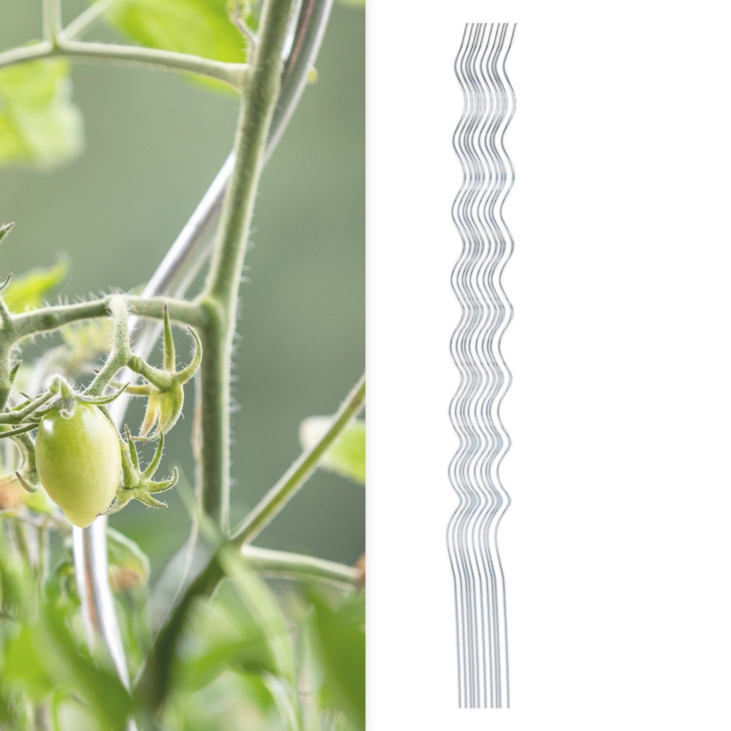 20er Set KARAT Tomatenspiralstäbe 180cm, verzinkte Pflanzstäbe für Kletterpflanzen im Garten.