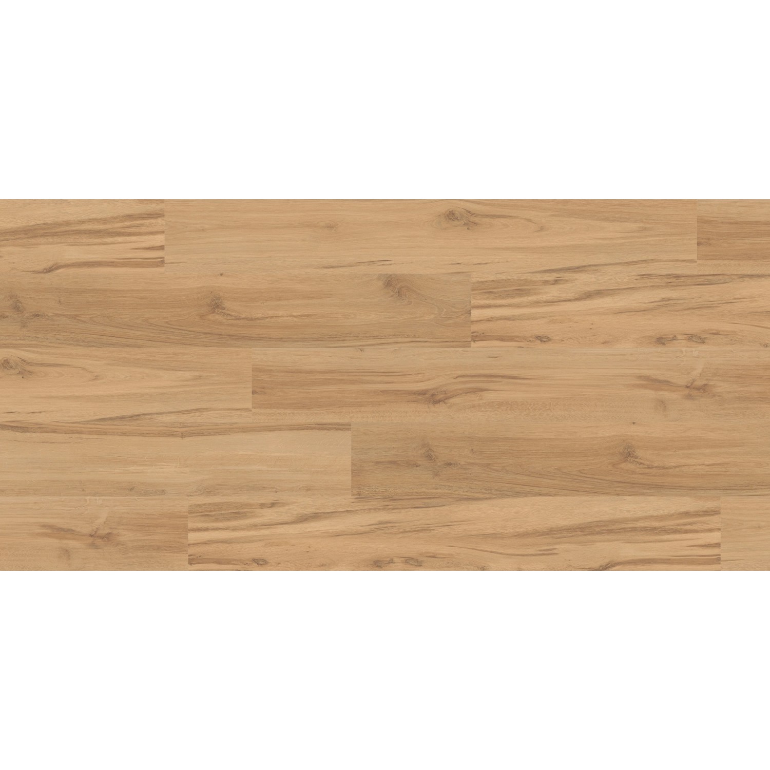 Kaindl Excellent Laminat 8 mm Eiche Desert