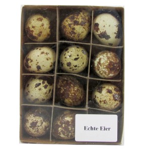 12 echte Wachteleier, naturfarben mit braunen Sprenkeln, in Karton für Osterdeko.