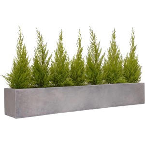 Vivanno Pflanzkasten Flobo, 100 cm, Betonoptik Grau mit grünen Pflanzen.