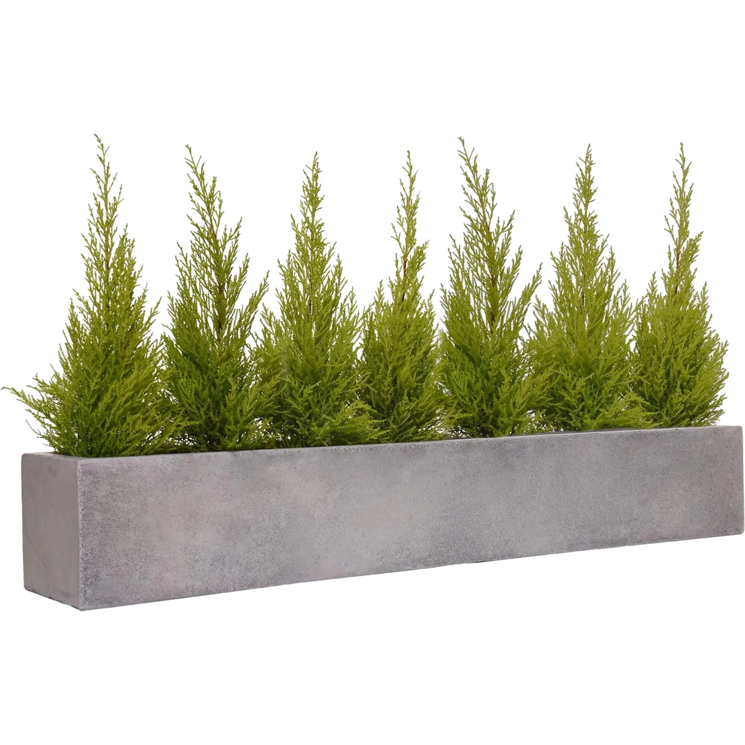 pflanztöpfe aquarium Bucen-Box