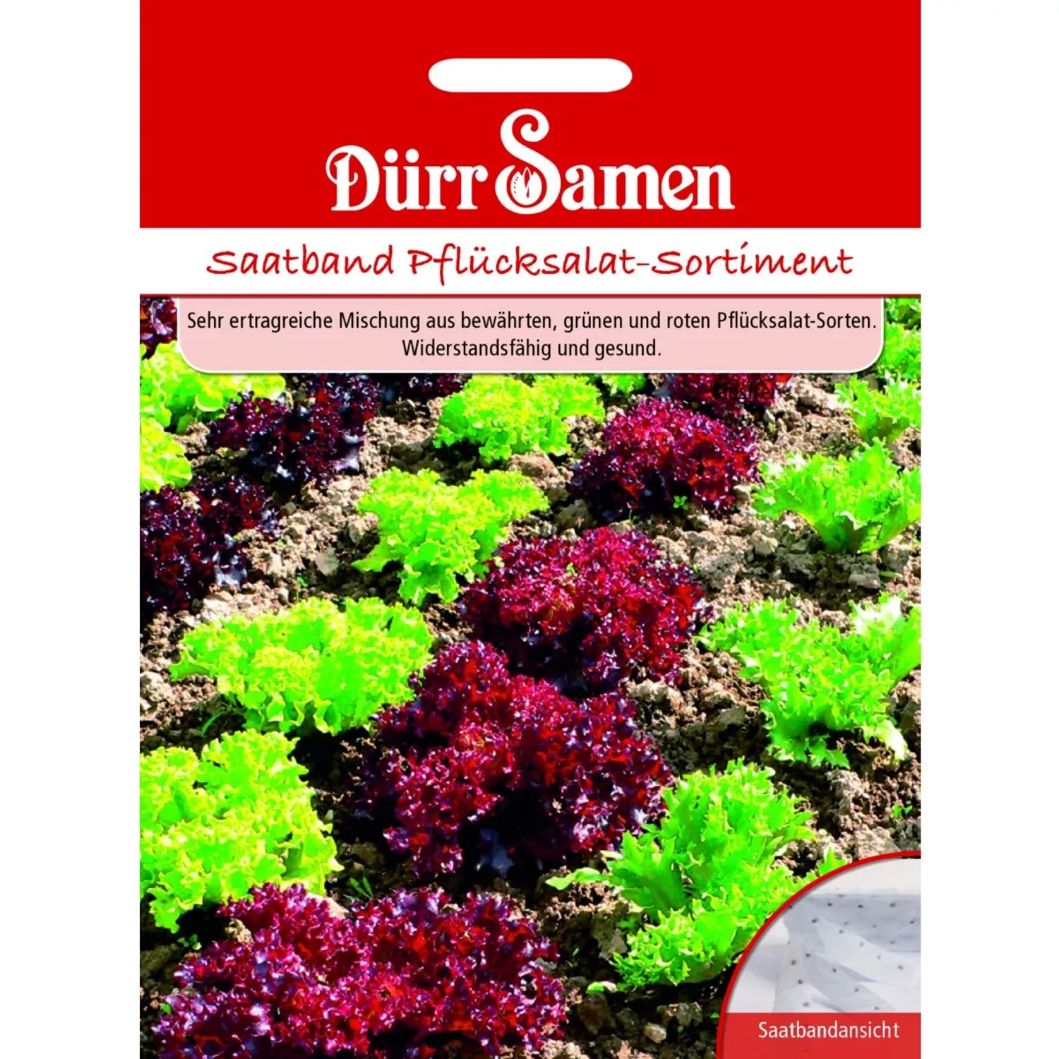 Dürr Samen Saatband Pflücksalat-Sortiment Saatgut