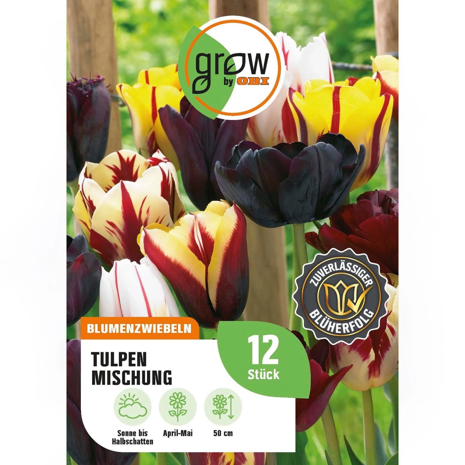 GROW by OBI Tulpen Mischung Nr. 4 / 12 Stück Tulipa mix