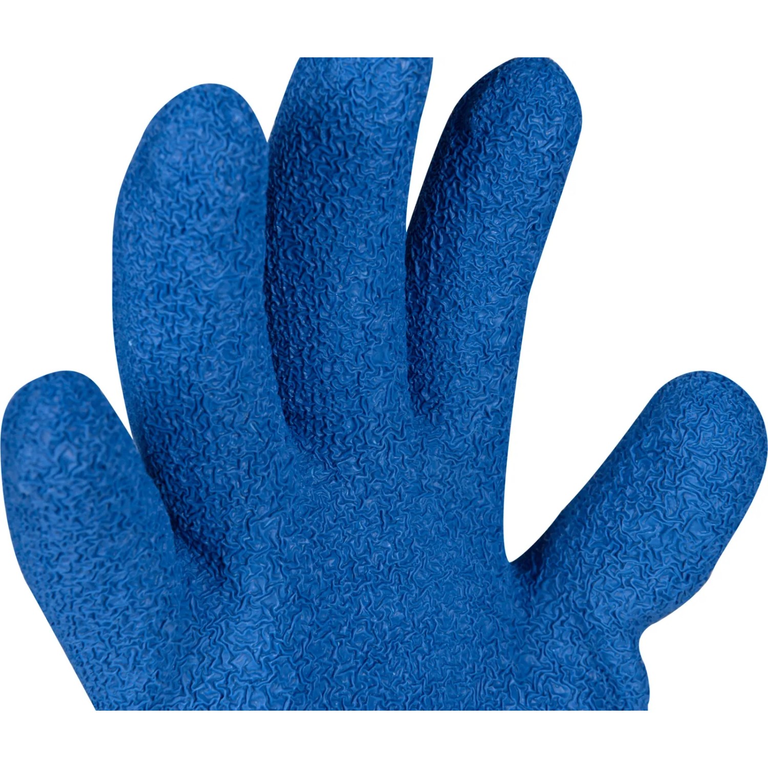 Alpinestars Racefend Motorrad-Handschuhe Unisex - Gelb/Blau, Größe S | Hochleistungs-Handschuhe Für Rennsport