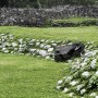 Segway Navimow X420E AWD Mähroboter für 2.000 m² Fläche im Einsatz auf einem Rasenstück mit Steigung.