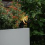 Schwarzer QAZQA Gartenstrahler Done mit Kabel und Stecker (IP65) beleuchtet eine Pflanze im Garten.