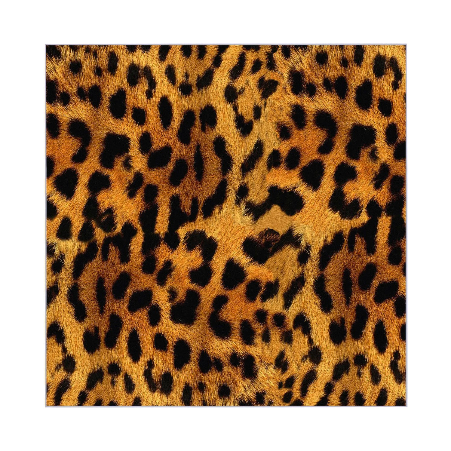 Banjado Schlüsselkasten mit Leopard-Motiv, 30x30cm, Schwarz, 50 Haken, beschreibbar, magnetisch.