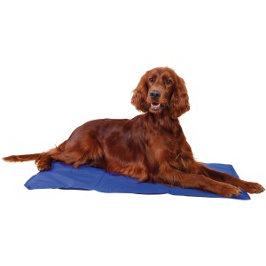 Hund liegt entspannt auf blauer Jollypaw Kühlmatte 90x50 cm. Ideal als Hundekissen & Hundedecke.