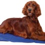 Hund liegt entspannt auf blauer Jollypaw Kühlmatte 90x50 cm. Ideal als Hundekissen & Hundedecke.