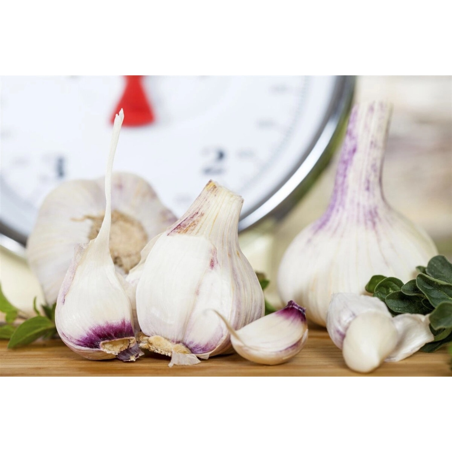 Allium Sativum Var.sativum Knoblauch Ca. 9x9 cm Topf günstig online kaufen