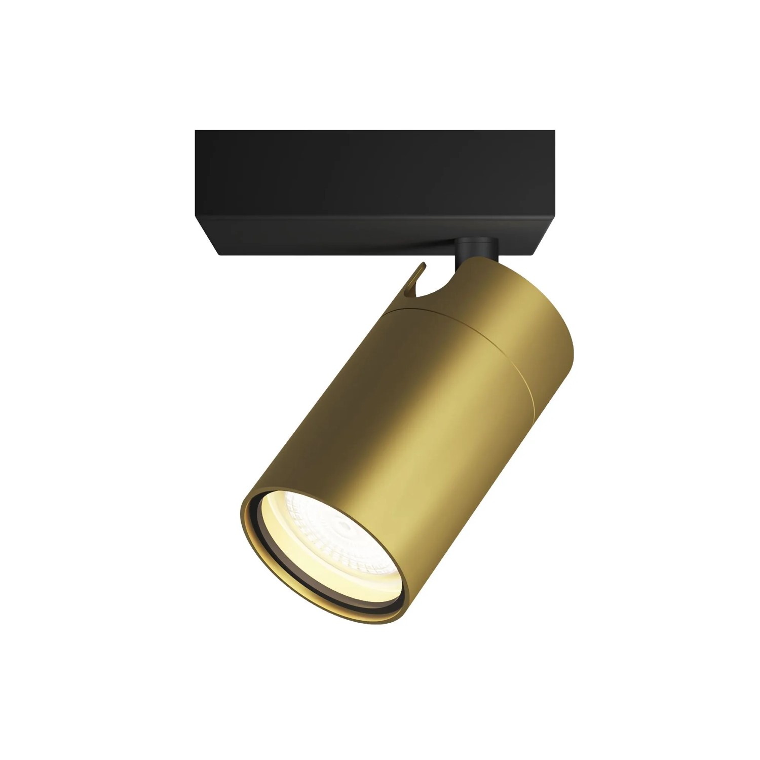 Philips Spot Idris 1-Flammig 5 W GU10 IP44 Gold