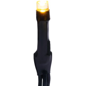 Detailaufnahme: Warmweiße LED einer 40er Lichterkette mit grünem Kabel.