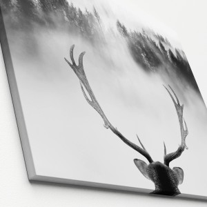 Leinwandbild Anonymus King of the forest, 77x57cm, Schwarz-Weiß-Fotografie mit Hirschgeweih und Wald.