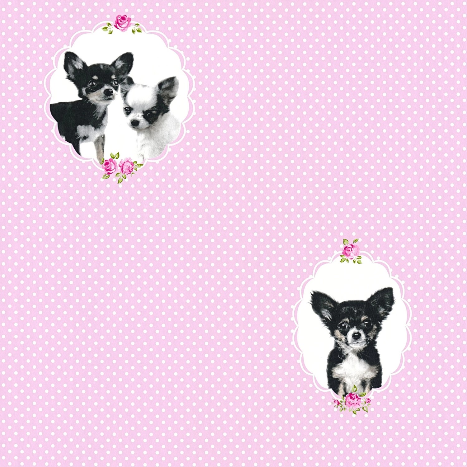 Bricoflor Rosa Punkte Tapete Gepunktete Vliestapete mit Chihuahua 50Er Jahre Stil Ideal für Kinderzimmer Vlies Mädchenta