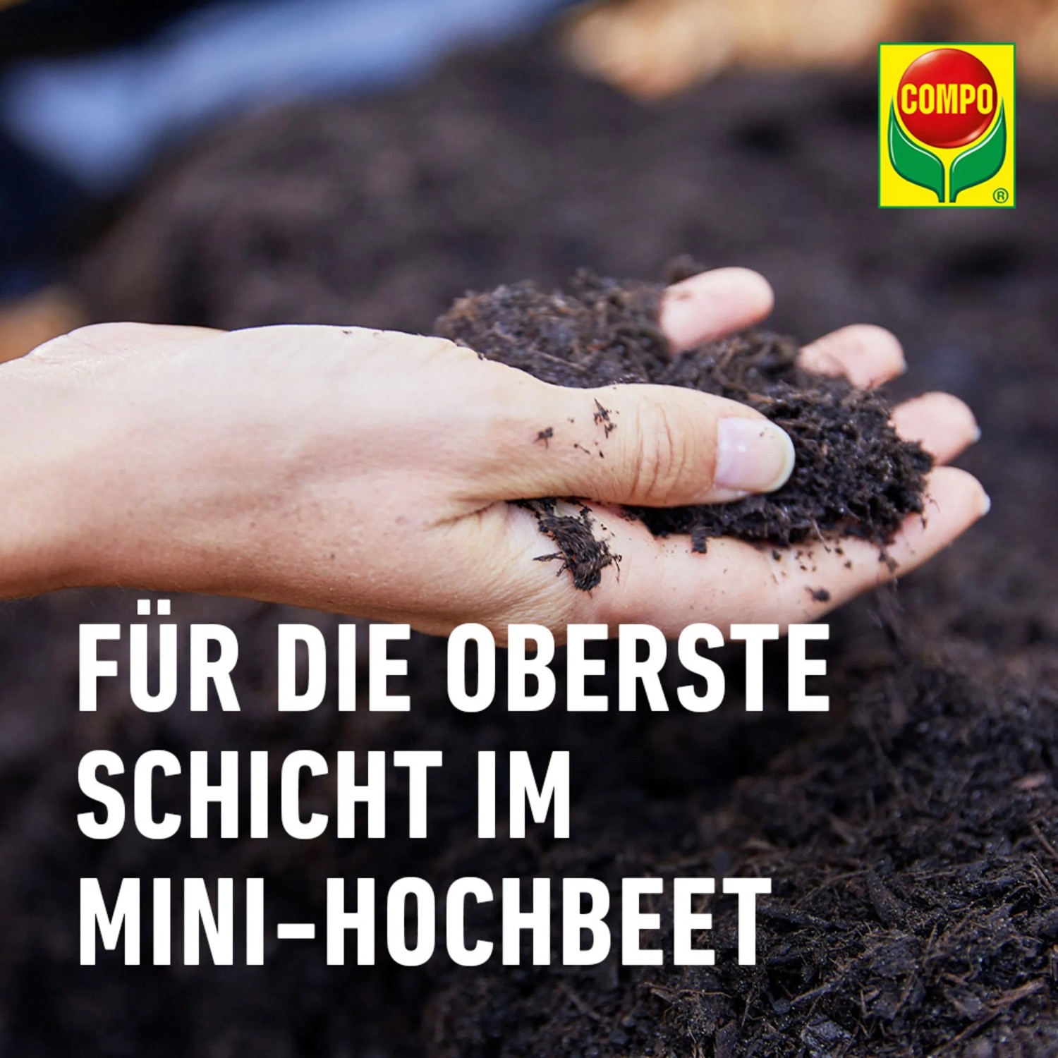 Hand hält Compo BIO Mini-Hochbeeterde. Ideal für die oberste Schicht im Mini-Hochbeet.