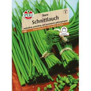 Sperli Schnittlauch Staro Saatband: Mehrjähriger, aromatischer Schnittlauch für Garten und Küche.