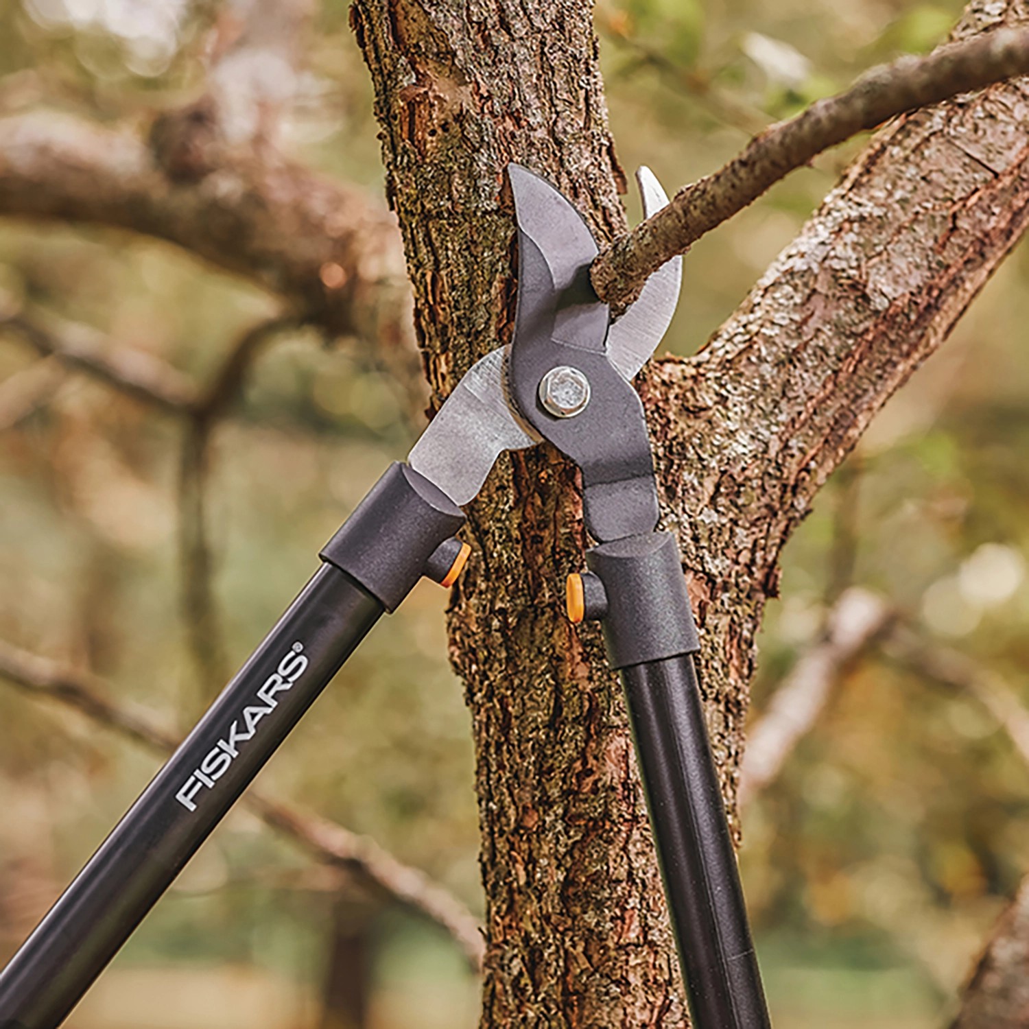 Fiskars Bypass-Astschere L11 schneidet Ast am Baum. Gartenschere mit Antihaftbeschichtung.