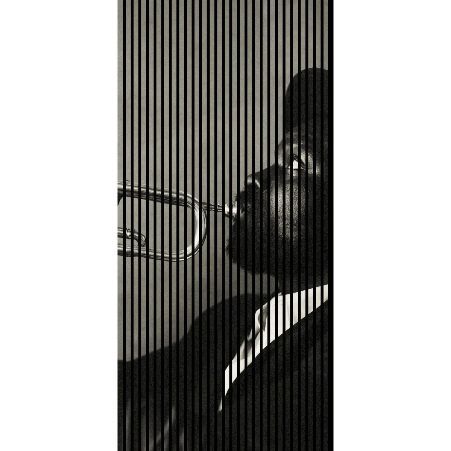FN Acustico Akustikplatte Jazz 1 PET u. MDF Foliert 1.133 x 19 x 2.400 mm