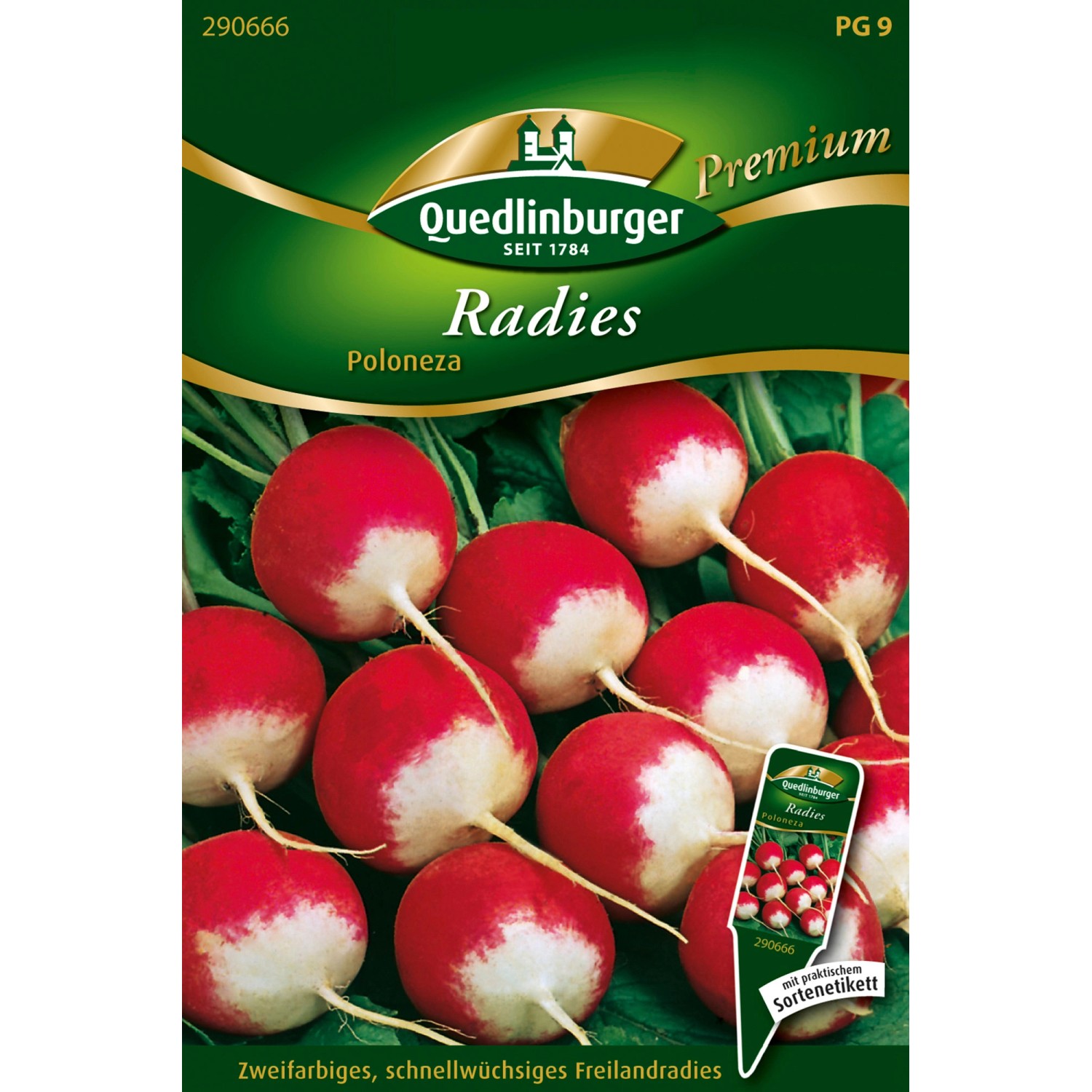 Quedlinburger Radies ''Poloneza'' günstig online kaufen