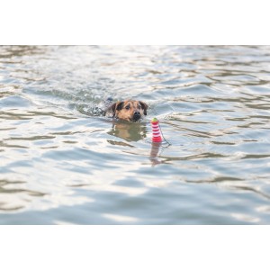 Hund schwimmt mit Trixie Aqua Toy Leuchtturm im Wasser, ein Wasserspielzeug aus TPR, 20 cm.