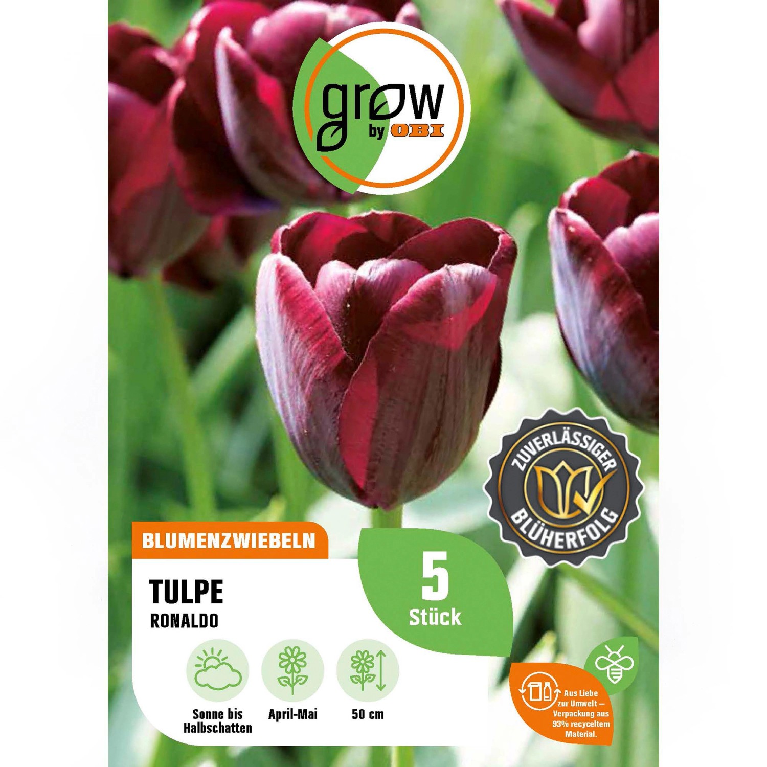 GROW by OBI Tulpe Ronaldo Rot 5 Stück Tulipa triumph Ronaldo günstig online kaufen