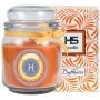 HS Candle Duftkerze Sternzeichen Fische im Glas mit Schleife und Verpackung.