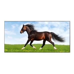 Schwarze Magnettafel mit Pferdemotiv, 78x37cm. Magnetwand für Notizen und Deko.