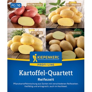 Kiepenkerl Pflanzkartoffel Quartett Erntezeit,12 St