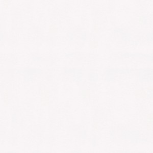 Einfarbige, weiße und überstreichbare Vliestapete von Bricoflor.