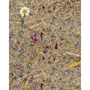 Selbstklebende Tapete WALLFACE AL-11005 mit Almwiesen-Dekor und echten Blumen.