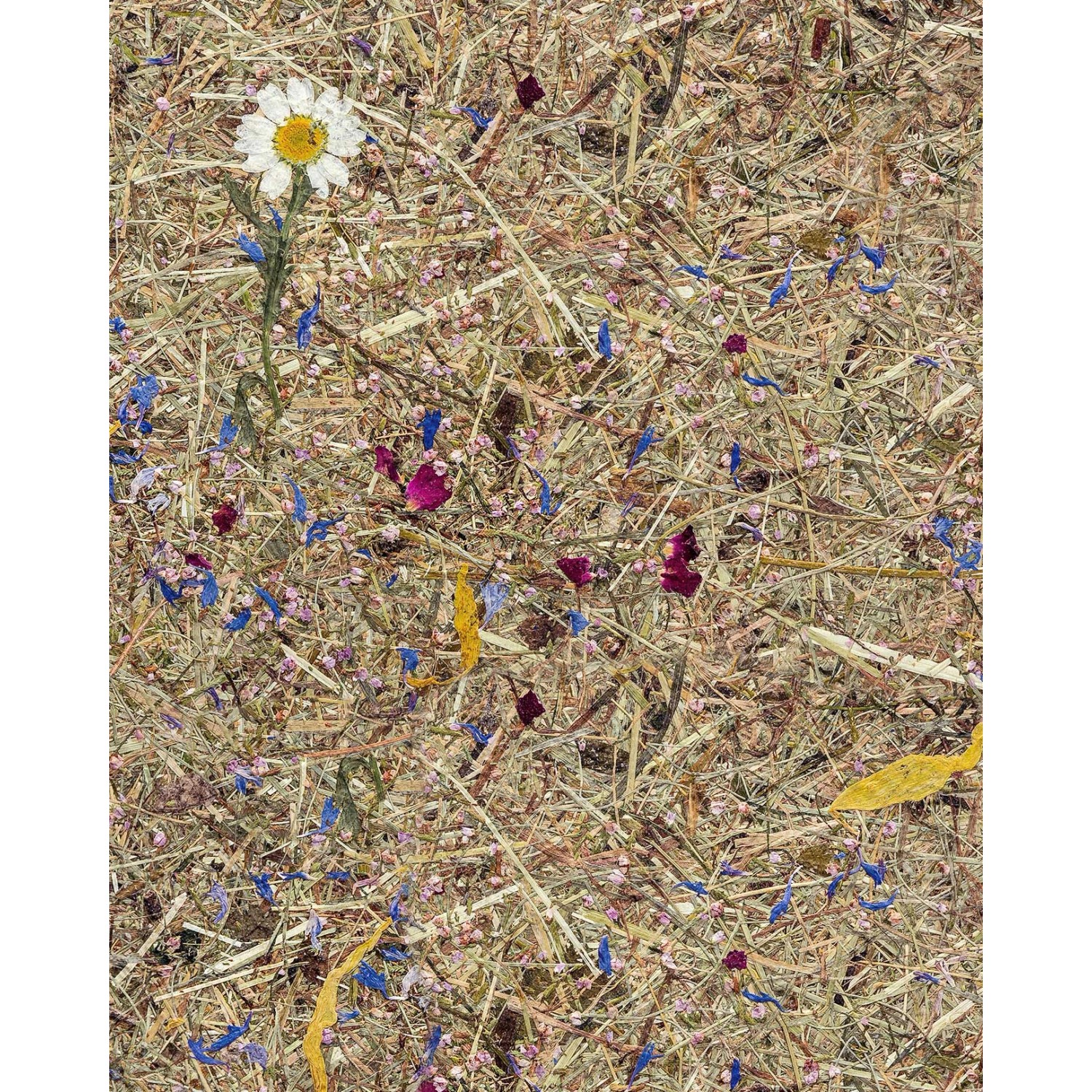 WALLFACE AL-11005 ALPINE POTPOURRI Tapete selbstklebend mit Almwiesen-Dekor günstig online kaufen