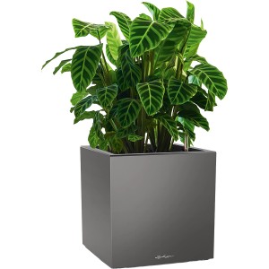 Lechuza Canto Premium Pflanzgefäß, Athrazit Metallic, 40x40 cm, mit grüner Pflanze.