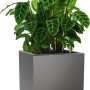 Lechuza Canto Premium Pflanzgefäß, Athrazit Metallic, 40x40 cm, mit grüner Pflanze.