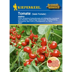 Kiepenkerl Tomate Matina: Strauch mit reifen, roten Tomaten. Gemüsesamen für ertragreiche Ernte.